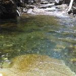 Grider Creek Campground