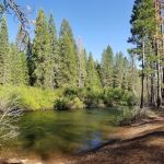 Camp 4 Group Campground