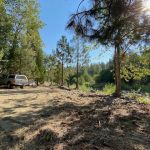 Regeneration Base Camp