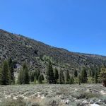 East Fork Campground