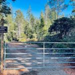 Free Your Mind Camping