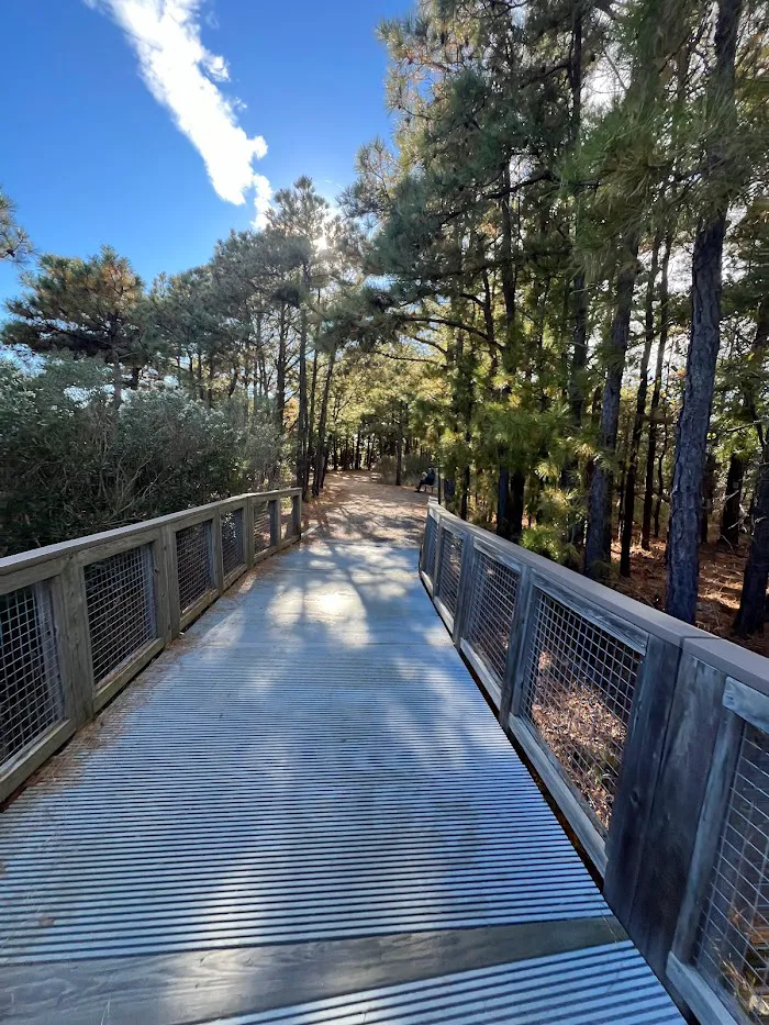 Cape Henlopen State Park 6