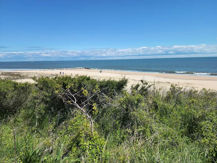 Cape Henlopen State Park 5