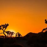 Sheep Pass Campground