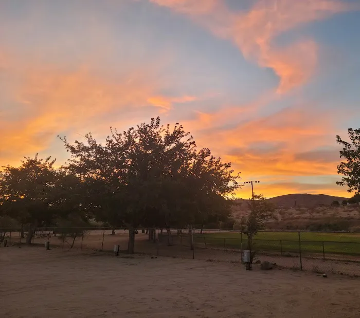 Joshua Tree RV & Campground 8