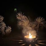 Cottonwood Group Campground