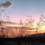 Chiriaco Summit Campground