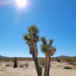 White Tank Campground