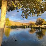 Joshua Tree Lake RV & Campground