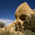 Joshua Tree National Park