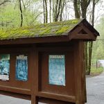 Andrews Cove Campground