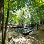 Sweetwater Creek State Park