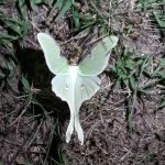 Greenwood Hill Campground Associates