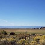 Plumas National Forest