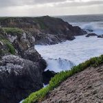 Wildwood Campground & RV Resort