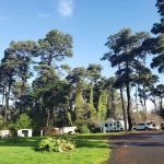 Hidden Pines RV Campground