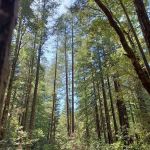 Big River Campground