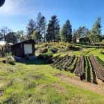Bushay Camp Ground Little Bear Campsite