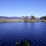 Pogie Point Campground