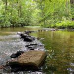 Pine Glen Campground