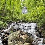 Amicalola Falls State Park