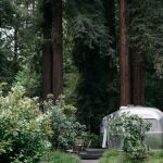 Sequoia Campground & Lodge