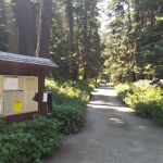 Cold Springs Campground