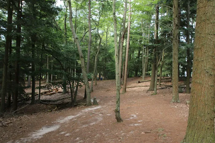 Ludington State Park Beach 6