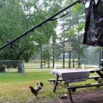 Cedar Pond Campground