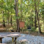 Givhans Ferry State Park