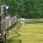 Woodsmoke Family Campground