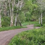 Mesa Creek Campground