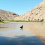 Cottonwood Grove Campground