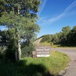 McClure Campground - Paonia RD