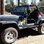 Tanglewood Group Campground