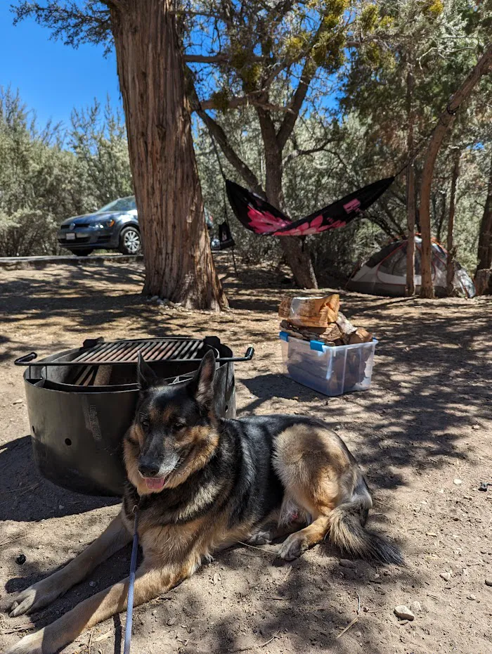 Serrano Campground 9