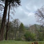 Miller Canyon Group Sites