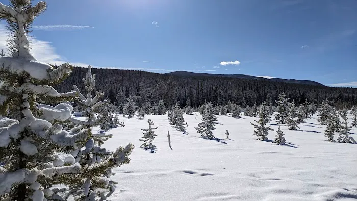 St. Louis Creek Campground 3