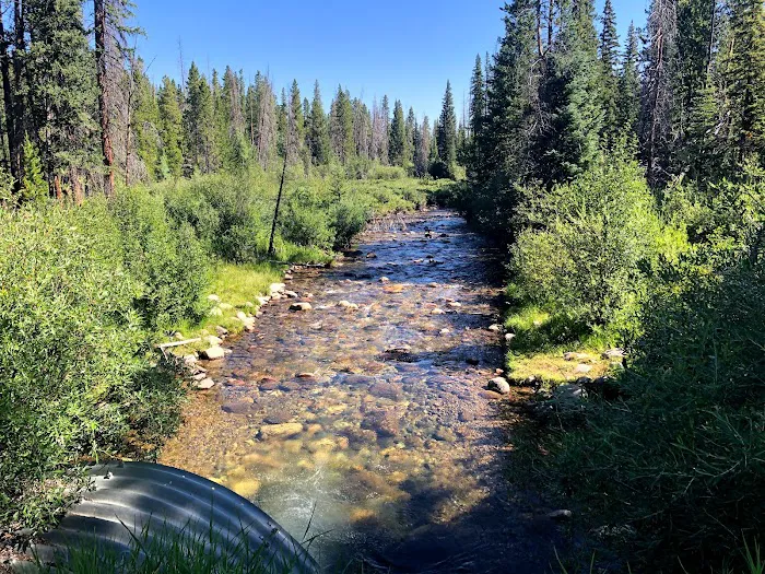 St. Louis Creek Campground 9