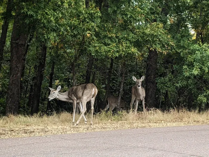 Quartz Mountain State Park 9