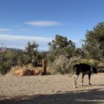 Hatch Point Campground