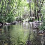 Glenn Camp Campground