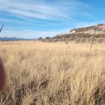 Durango RV Park - Open Year Round