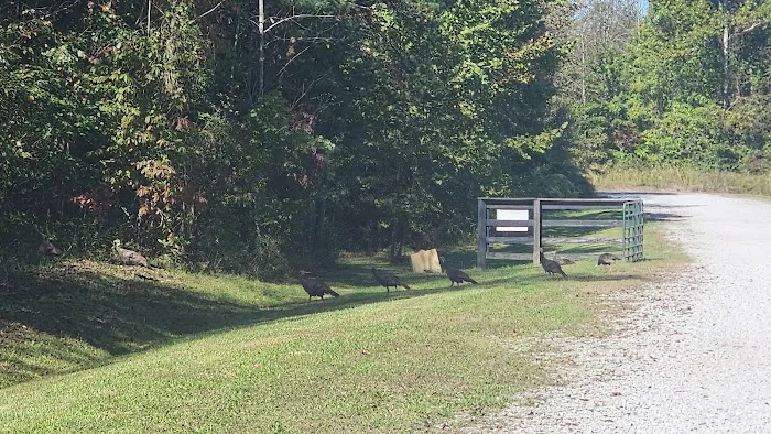 Cross Mountain Campground 1