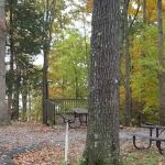 Kenlake Campground