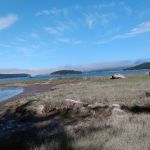 La Conner Camping Resort Wheelchair Accessible Cabin 16