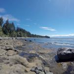 French Beach Provincial Park