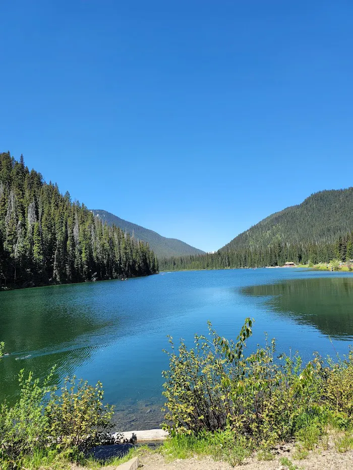 E. C. Manning Provincial Park 3
