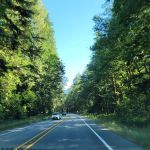 Mt. Baker-Snoqualmie National Forest