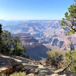 Kaibab National Forest